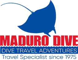 dive travel companies