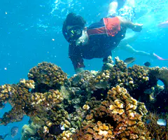 FIJI - BEQA LAGOON