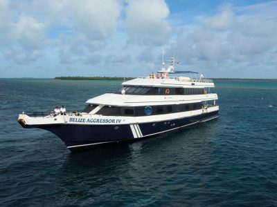 Belize Aggressor IV scuba dive liveabroad in Belize
