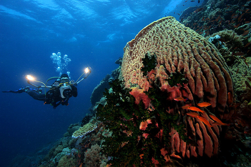 underwater scuba diving from Atlantis Resort in Puerto Galera, Philippines