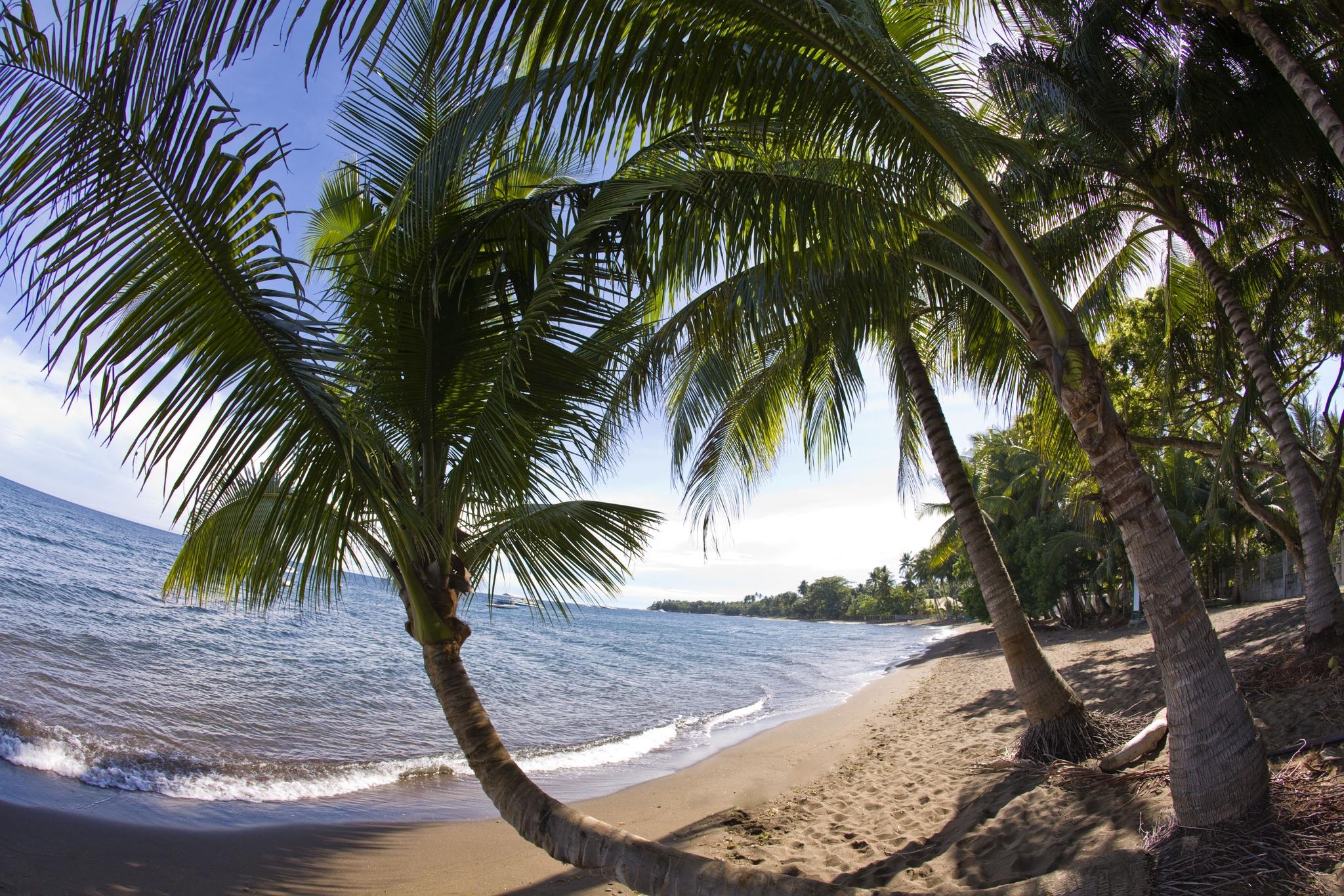 Beach shore view from the Atlantis Resort in Dumaguete, Philippines