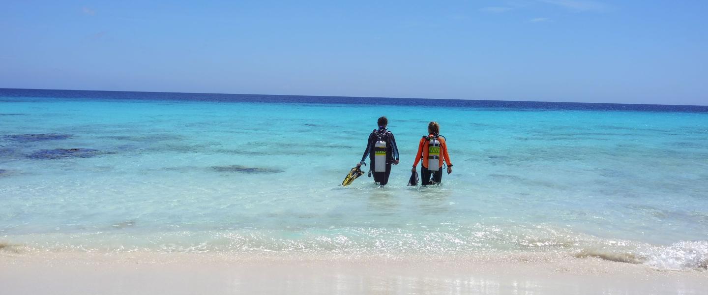 Buddy Dive Resort - Bonaire shore diving