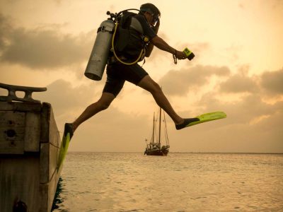 Divi Flamingo Beach Resort & Casino - Bonaire giant stride