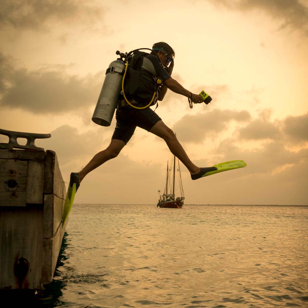 Divi Flamingo Beach Resort & Casino - Bonaire giant stride