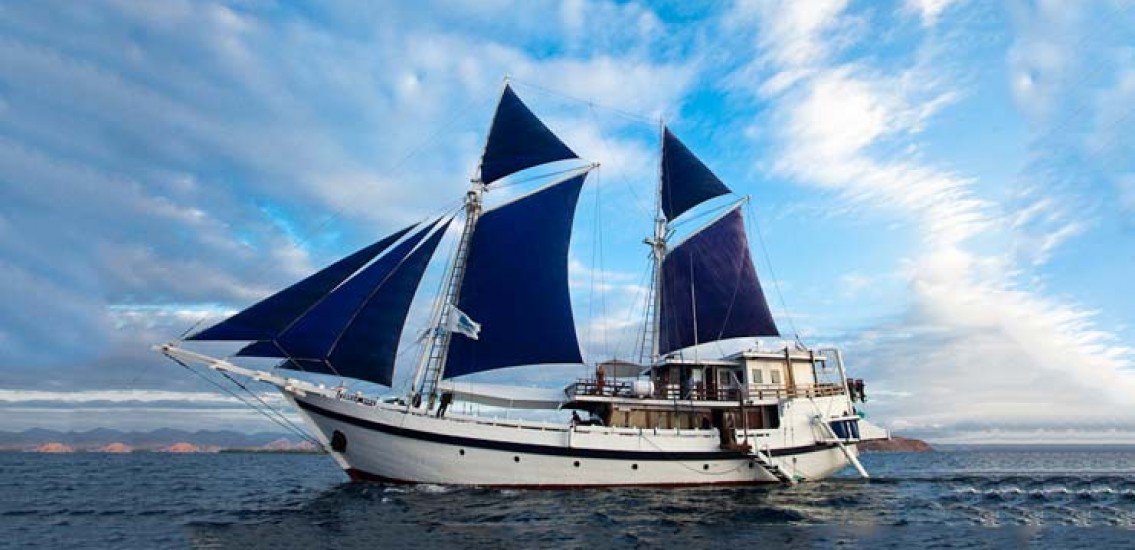 Indo Aggressor - Komodo, Indonesia liveaboard