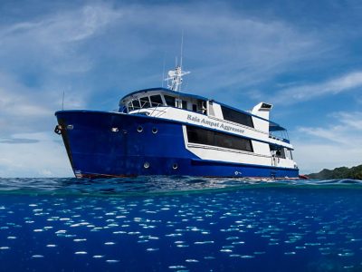 Raja Ampat Aggressor - Raja Ampat, Indonesia liveaboard