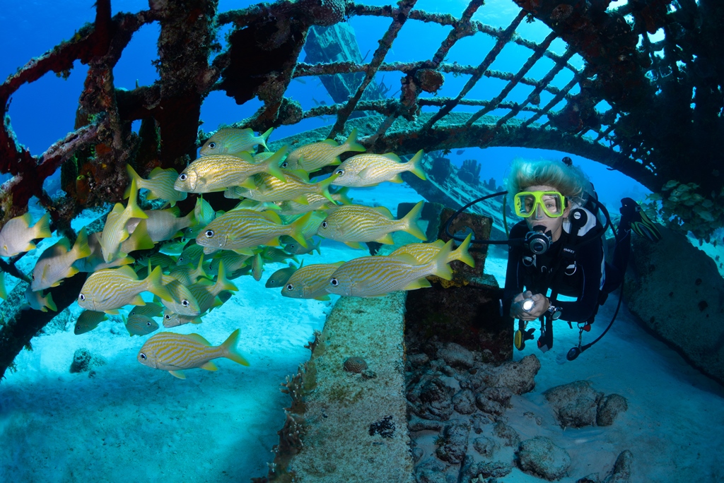 Turks & Caicos Islands Maduro Dive Exclusive Scuba Diving Packages