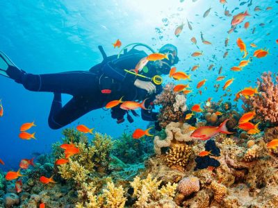 Borneo, Sabah, Sipidan, eastern Malaysia scuba diving