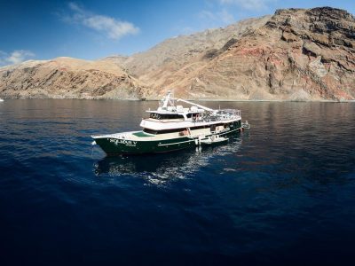 Solmar V - Socorro Islands, Mexico liveaboard