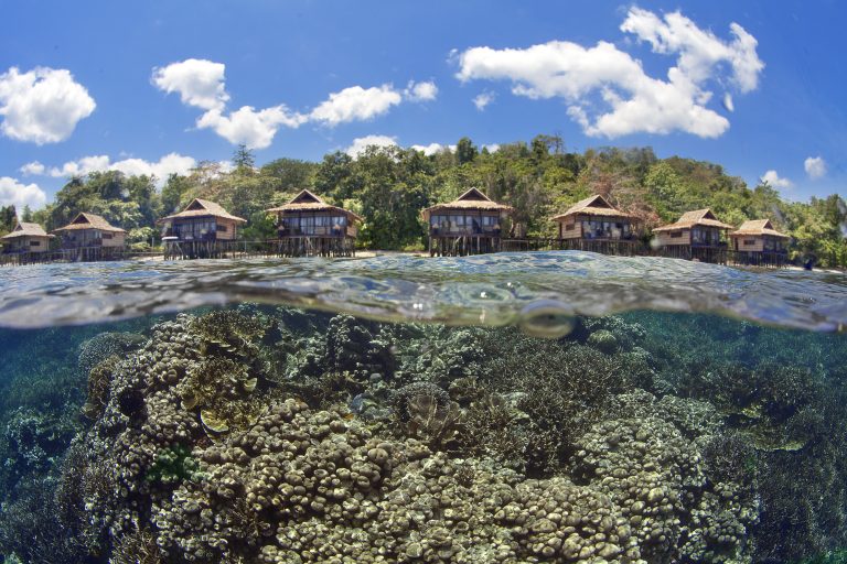 Papua Paradise Eco Resort Indonesia