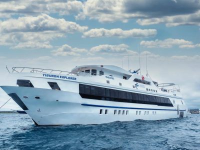 Tiburon Explorer - Galapagos Islands liveaboard