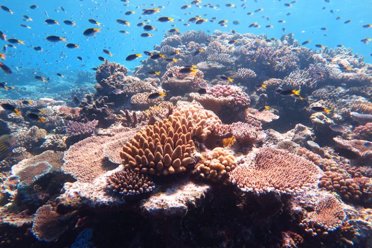 Great Barrier Reef