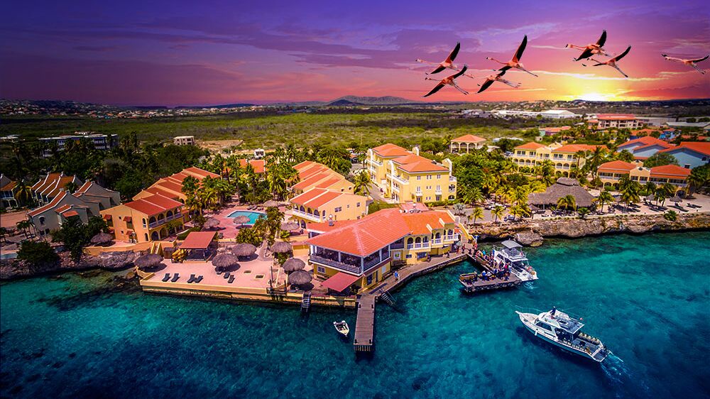 Buddy Dive Resort - Bonaire resort