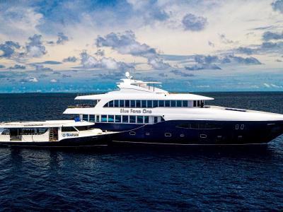 Blue Force One and Dhoni Dive Liveaboard Maldives