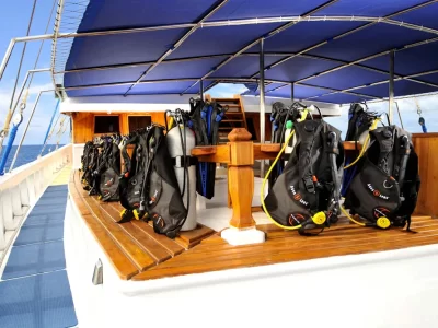 Palau Siren - Palau, Micronesia Liveaboard