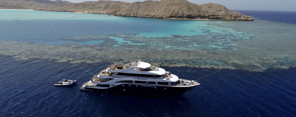 All Star Scuba Scene Liveaboard - Red Sea, Egypt Liveaboard