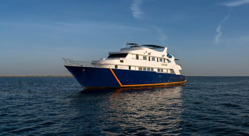All Star Ghani Liveaboard - Red Sea, Egypt