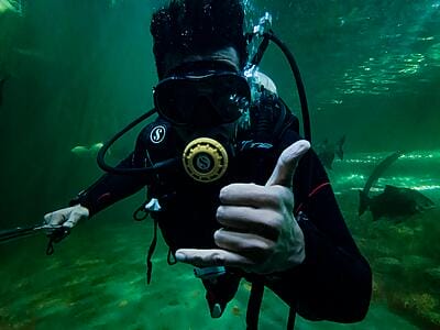 Experienced Diver