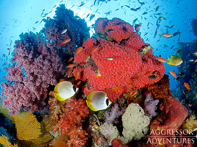 Raja Ampat